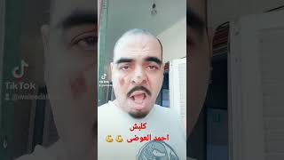 كلبش  احمد العوضى 