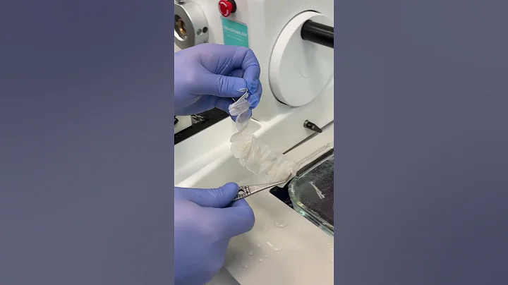 Cutting Lung Tissue on a Microtome in Histology Lab