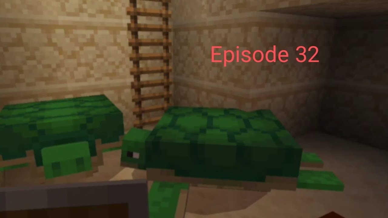 Minecraft episode 32 beginning the breeding of turtles