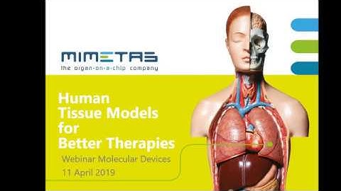 [Webinar] How to use organ-on-a-chip to build a more realistic in vitro environment