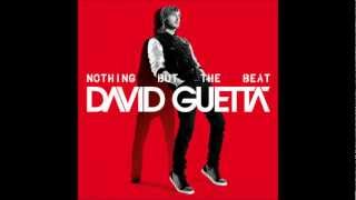 David Guetta- Metro Music [Nothing But The Beat Electronic Album]