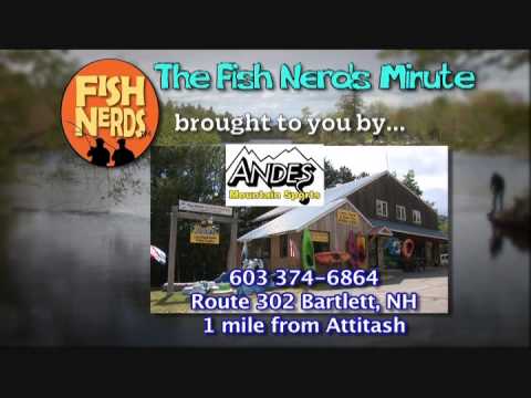 white mountains insurance group Fish Nerds Sponsored by Andes Mountain Sports