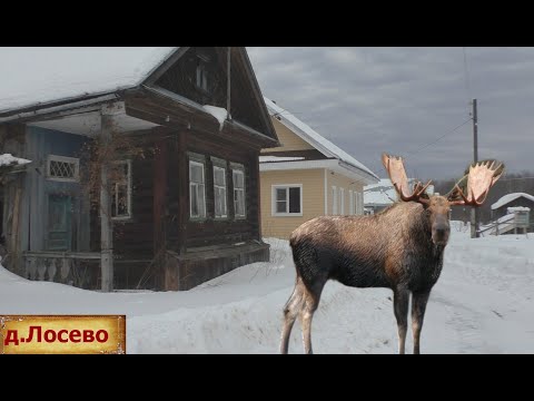 Деревня в глубинке России. Заброшенный дом. Деревня без жителей? village in the heartland of Russia