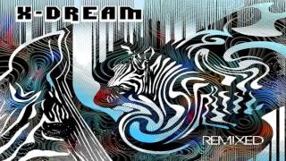 Miniatura de vídeo de "X-Dream - The Second Room (A-Trip) (Man With No Name Rmx) ᴴᴰ"