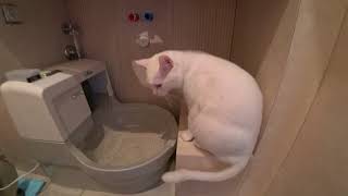 Робот туалет «CatGenie 120» для Ваших кошек и котиков