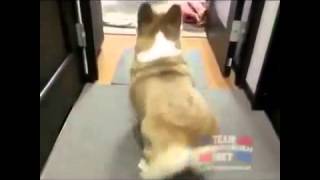 La Chapa Que Vibran - La Materialista