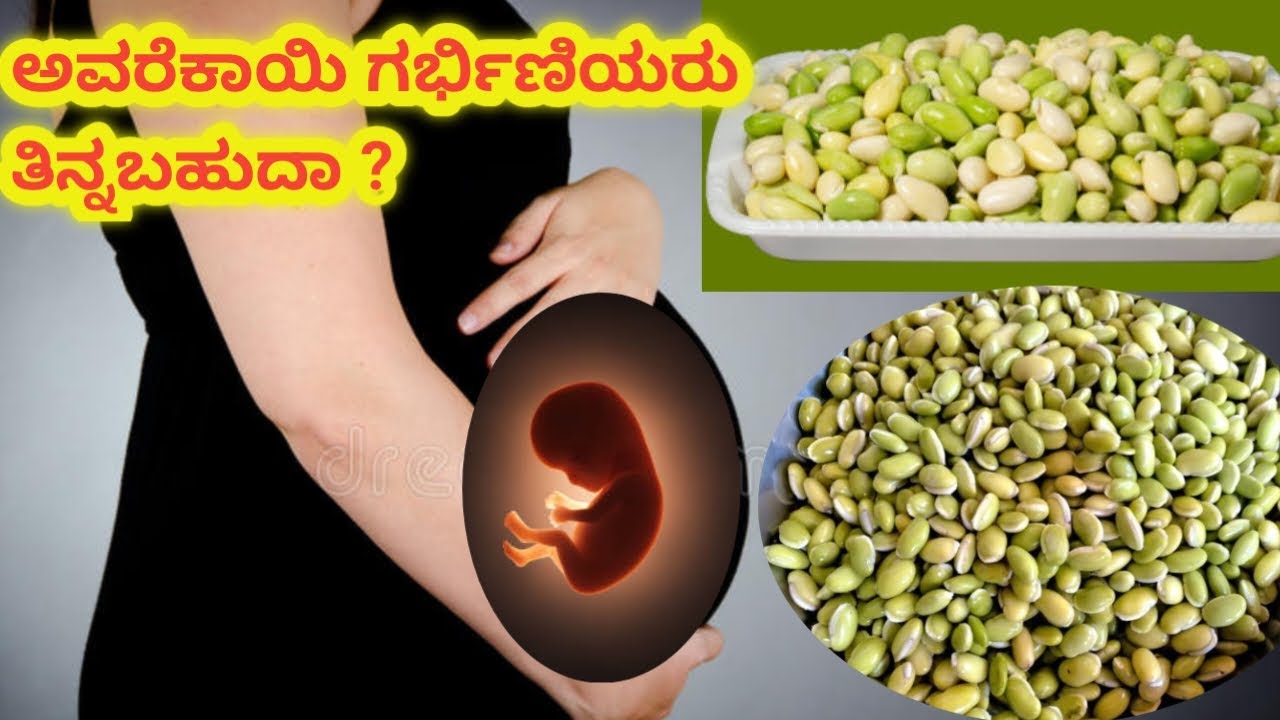 ಅವರೆಕಾಯಿ ಗರ್ಭಿಣಿಯರು ತಿನ್ನಬಹುದಾ l hyacinth beans eating during the