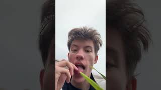 twitch.tv/zemidle Ты клубника я клубника… #food #shorts #twitch #streamer #funny #еда #cooking
