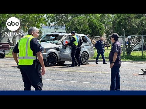 Video: Ne visi šunų ekspertai sutaria, ar šunys, kaip mūsų hugs