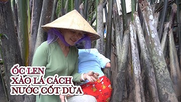 Ốc len xào lá cách nước cốt dừa @mobaymientay5881