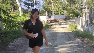 Construction and Pine Cones in the Philippines! by A Better Life PH 591 views 2 months ago 10 minutes, 17 seconds