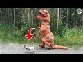 Make Your Day With Funny Animals Videos | Amazing Animals