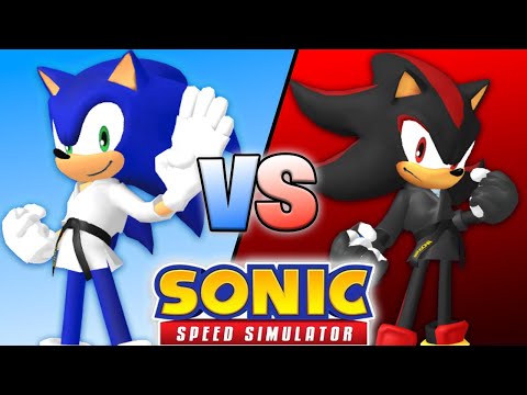 KARATE SONIC & SHADOW JOIN SONIC SPEED SIMULATOR!