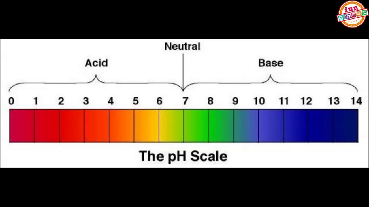 Кислотность кожи. Шкала кислотности PH воды. Показатель кислотности PH кожи. Шкала кислотности PH волос. Шкала PH кожи.