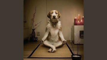 1v1 (feat. wave2hii)