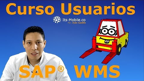 SAP WMS tutorial en español, Introducción.
