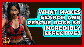 What Makes Search And Rescue Dogs So Incredibly Effective? - Man vs. Disaster