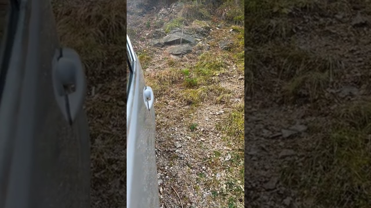 BMW e46 330xd M57D29 smoke