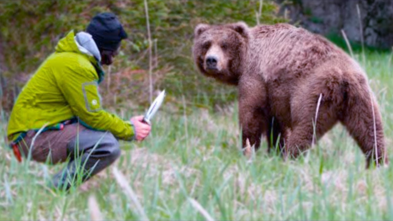 Есть ли медведь людей. Медведь и человек. Встреча с медведем. Встреча человека с медведем.