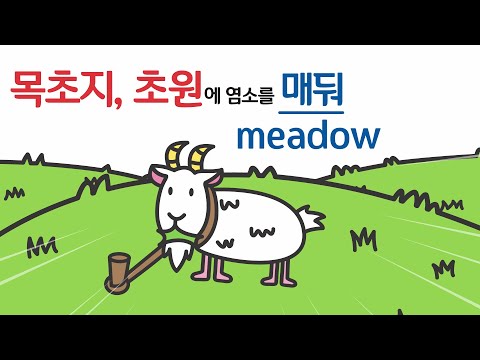 영어단어 암기 쉽고 재밌게 하는 법 알려드려요! 영어공부 영단어 암기는 역시 경선식으로~