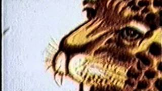 Comercial Caninha Oncinha 1990