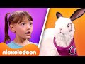 Even More of Chloe vs. Colosso&#39;s Sassiest Moments! | The Thundermans | Nickelodeon UK