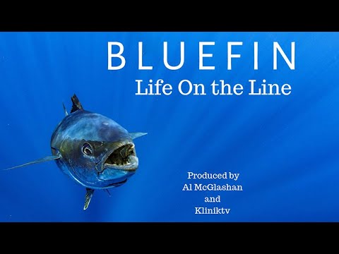 Life On The Line - The amazing true story of the Southern Bluefin Tuna