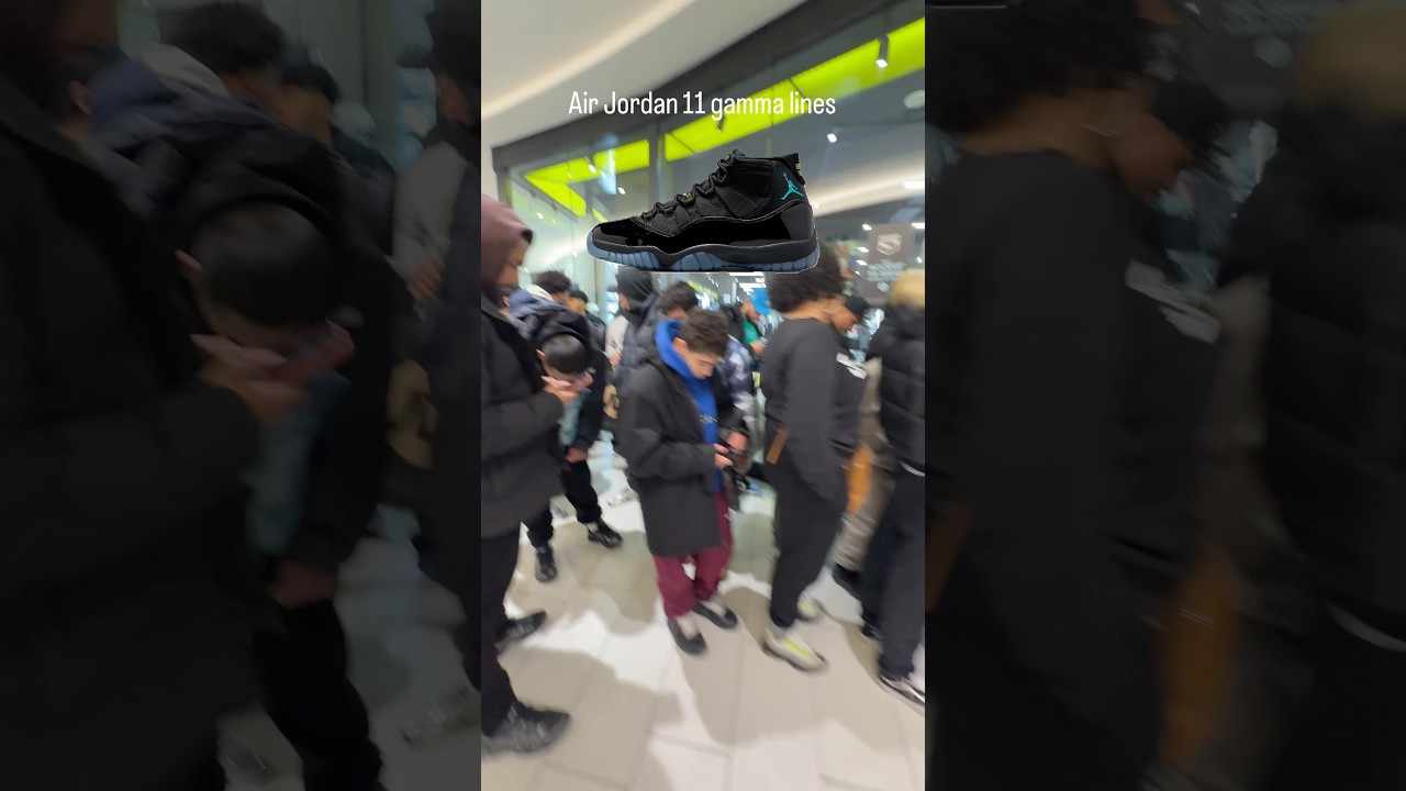Air Jordan 11 gamma lines