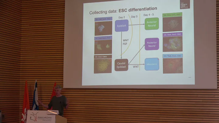 Plasticity and Constancy: James Briscoe