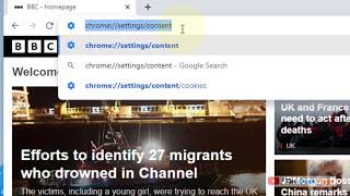 Cara Menjelajah dalam Mode Teks Saja di Chrome screenshot 5