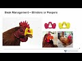 Poultry behavior and how to read a flock