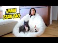 TURNING MYSELF INTO A BEAN BAG FOR MY DOGS + Home Decor Haul