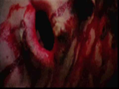 the lurking corpses-horror geek.wmv