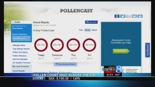 Ah-choo! High pollen count across U.S.
