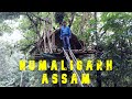 Numaligarh, Assam, India