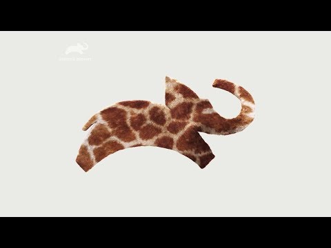 Animal Planet Gráficas (2019)