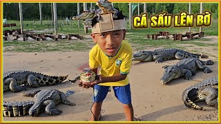 Cá Sấu Lên Bờ Ở Công Viên - Trần Vy Vy Tập 60 screenshot 3