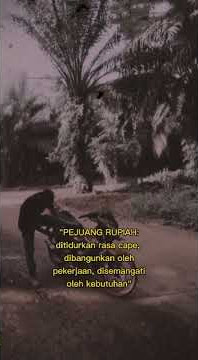 #story wa pekerja sawit🌴
