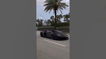 The Black Cobra Lamborghini Aventador SVJ 