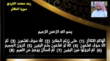 سورة التكاثر رعد محمد الكردي