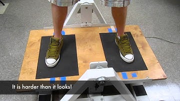 LAB 5 - Somatosensory Information
