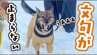 大好きな友達と会えたけど、うまく遊べないんです!