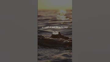 سورة إبراهيم | ياسر الدوسري | القران الكريم #quran #قران_كريم #المصحف #اسلاميات #قران