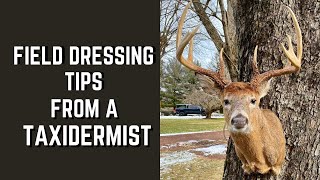 TAXIDERMIST TALKS FIELD DRESSING DEER AND TAXIDERMY PROCESS by Mark of all trades 711 views 1 year ago 4 minutes, 54 seconds