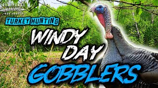 Turkey Hunting Windy Day - Spring Gobbler Hunting In Windy Weather