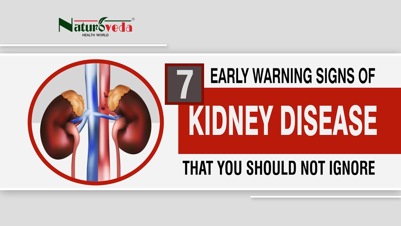KIDNEY DISEASE 7 EARLY WARNING SIGNS OF KIDNEY DISEASE THAT YOU SHOULD NOT IGNORE YouTube