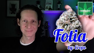 Fotia by Crops / Justice Grow - Illinois Cannabis Review