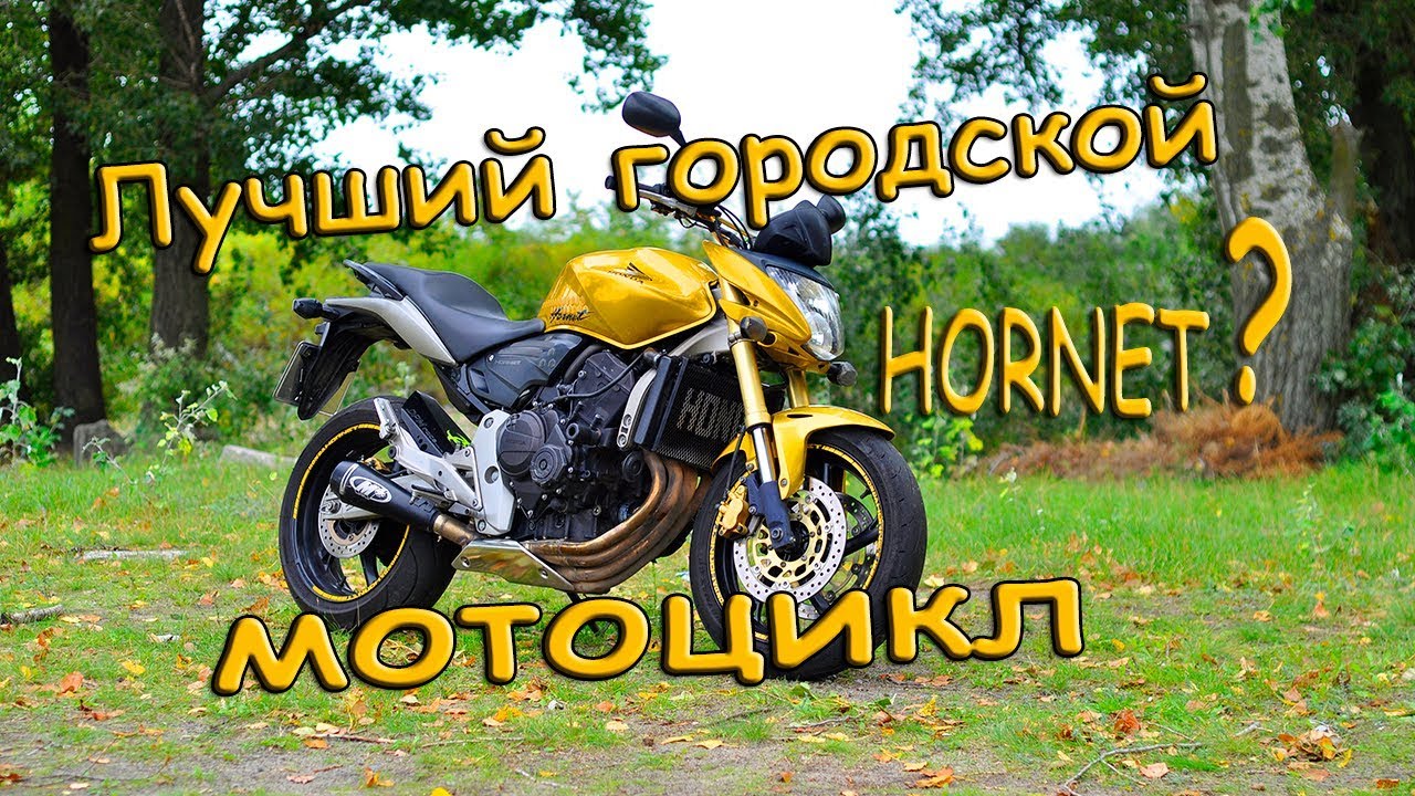 Куда идти после хорнет. Куда идти после хорнет
