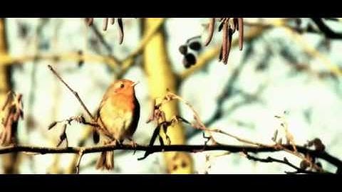 Libera -Deep Peace -HQ