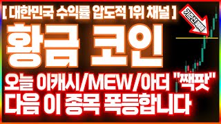 [업비트 빗썸 알트 코인추천 급등코인] 오늘 이캐시/MEW/아더 &quot;짹팟&quot; 다음 이 종목 폭등합니다 #알트코인 #빗썸 #업비트 알트거래소